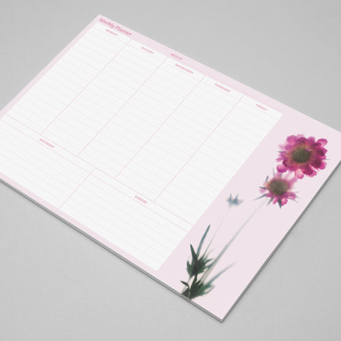 A4 Weekly Planner - Scabiosa